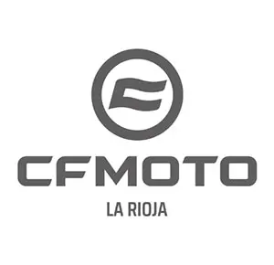 Logo CF Moto